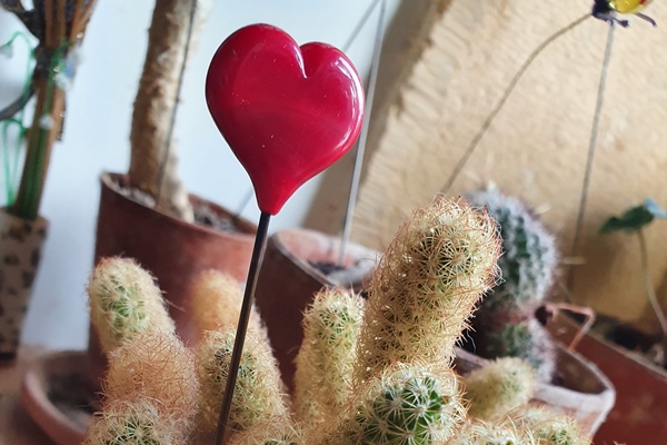 Coeur en verre de Murano à planter-Accessoires plantes vertes
